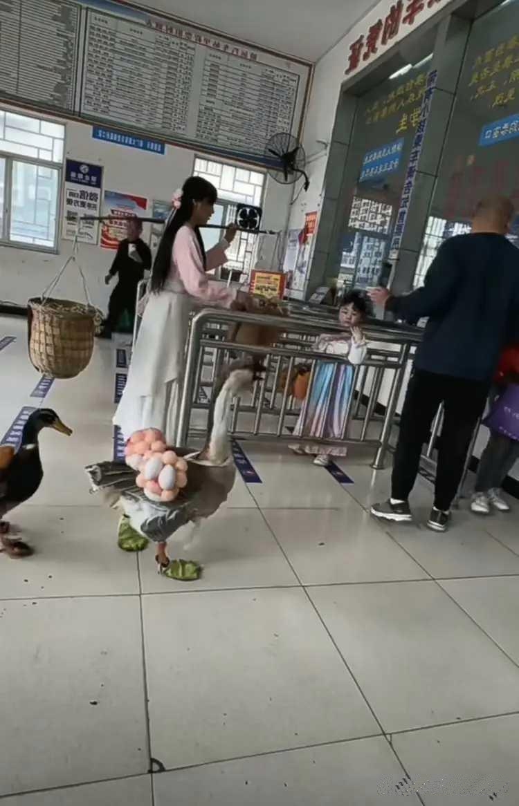 走错路了，还知道去排队！