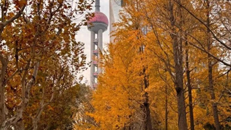 “落叶不扫”景观道路如期而至