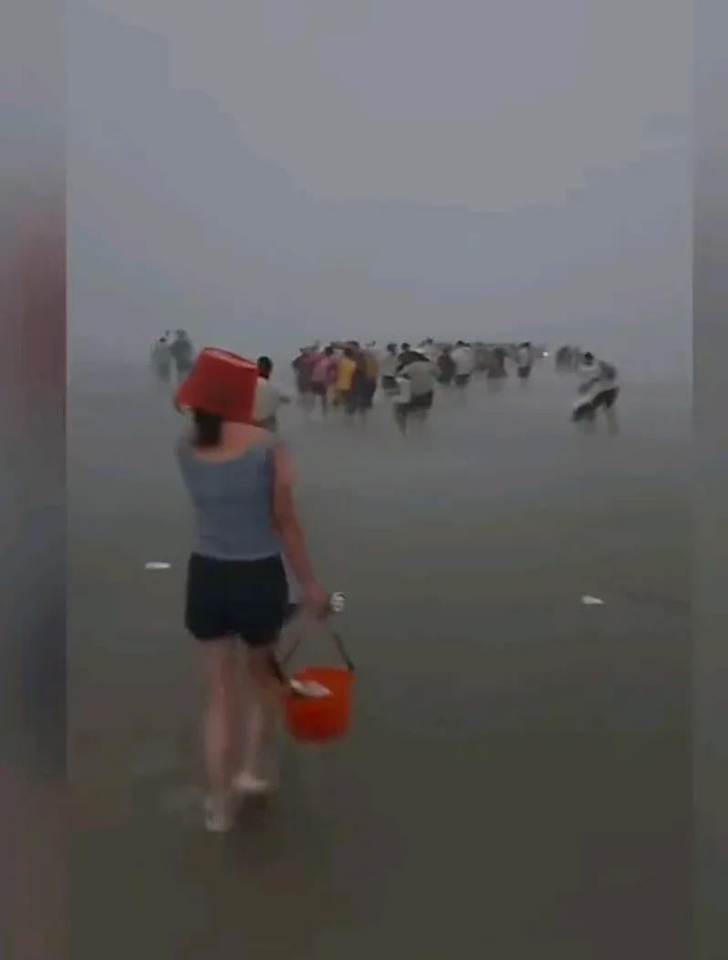 去过广西北海红树林凑热闹赶过海的一个大姐说：那里特别诡异，她那次突然看到一个认识