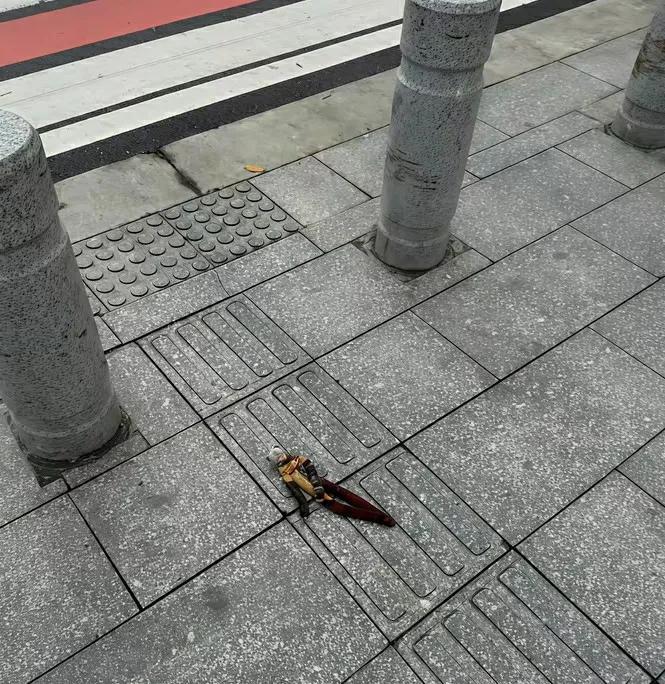 谁家男朋友掉了，来认领一下[捂脸]