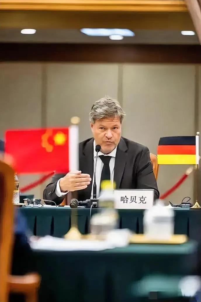 哈贝克的强硬回应反映出德国内部对外部无端指责的不满。近年来德国在能源、外交等领域
