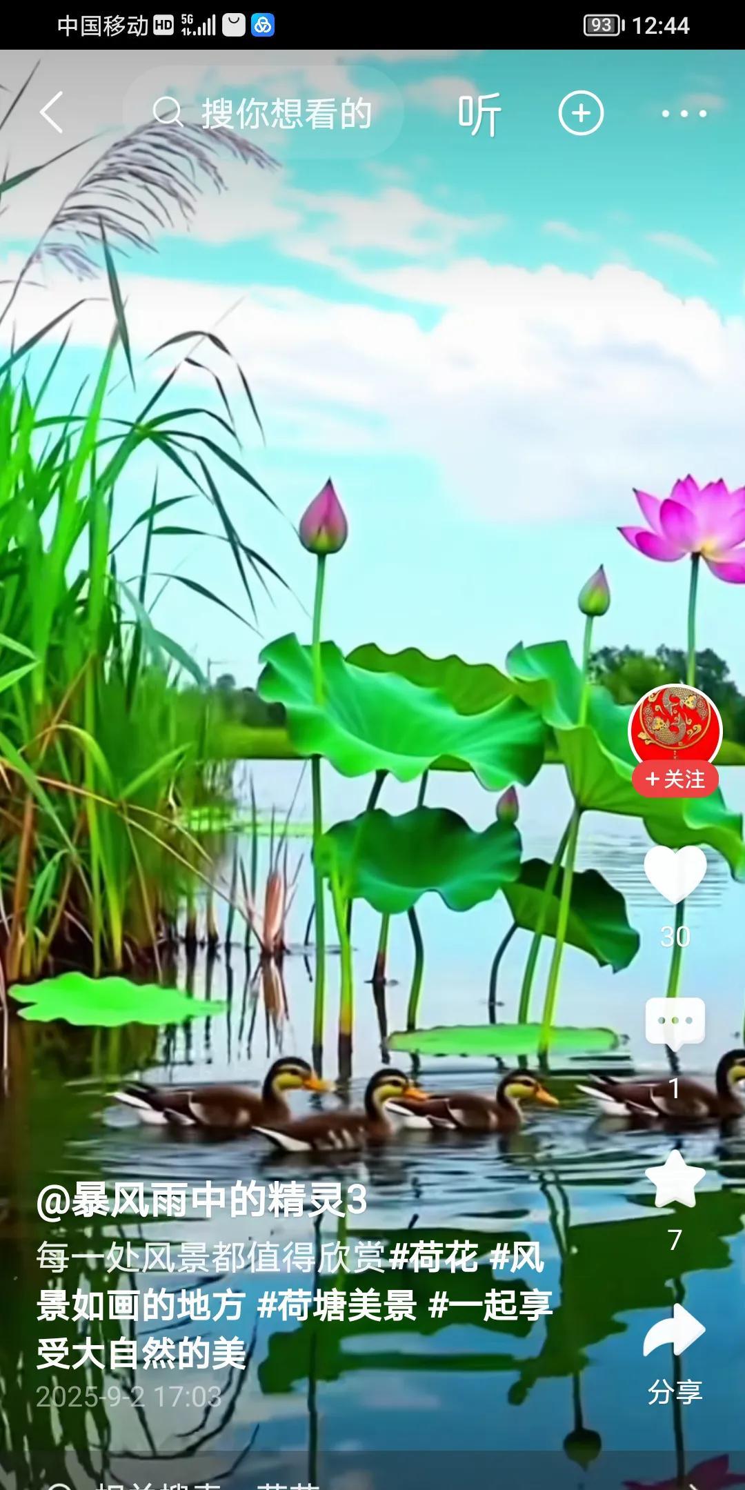 五绝·荷塘美景
文/方立新
荷青欢鸭子，
蕾绽艳清泉。
仲夏风光美，
池塘泛碧涟