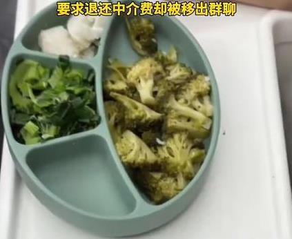 高薪育儿嫂不懂奶瓶消毒，高薪育儿嫂给宝宝做死面馒头，宝妈找育儿嫂遇坑要退费被踢出
