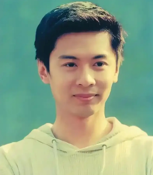 何宝生曾是香港演员，虽未如成龙般家喻户晓，但出身豪门，堪称“贵公子”。他本可在富
