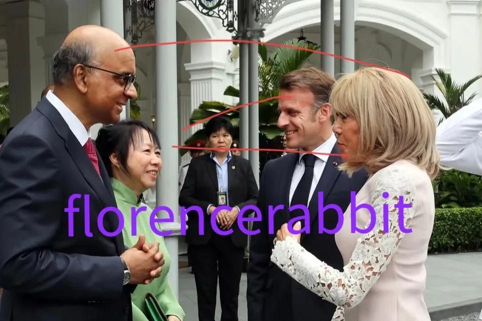 新加坡总统尚达曼和夫人简·伊托吉·尚达曼在莱佛士酒店欢迎法国总统夫妇。尚达曼指出