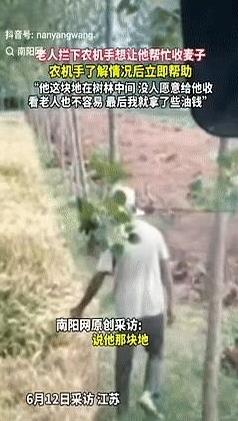 “活该他发财！”江苏老人在路边拦下农机手，恳求对方帮忙收下麦子，全村就剩他一户没