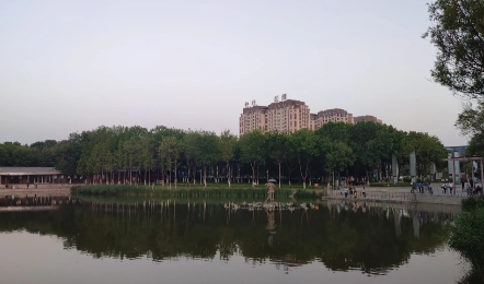 对扶起老人被诉现象的反思：证明责任与社会信任危机
 
在社会生活中，扶起摔倒老人