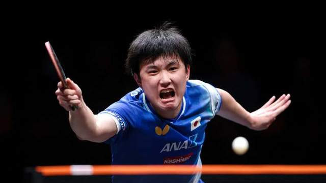 2025WTT香港总决赛男单四强出炉，日本网友：希望张本智和能夺冠