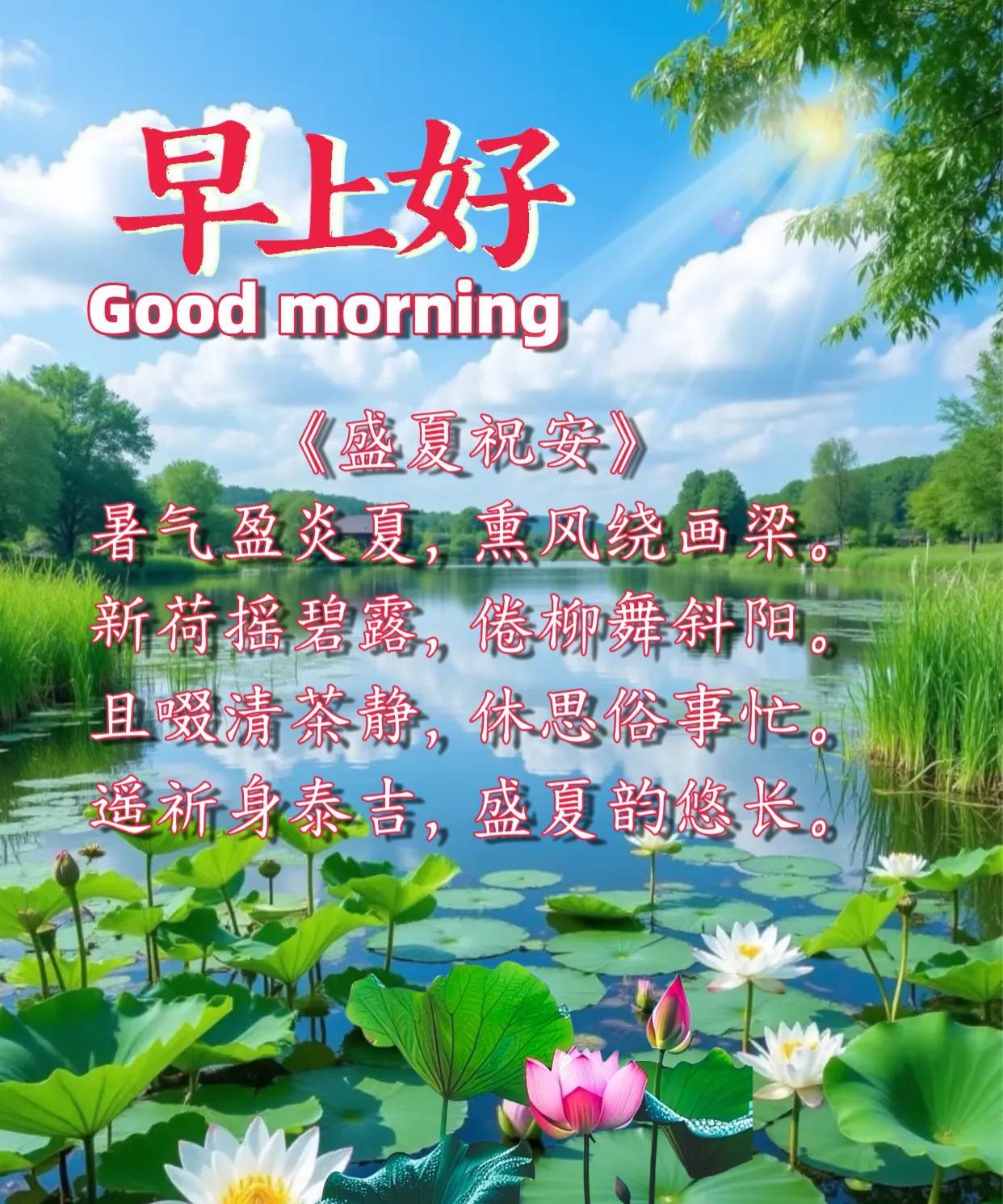 朋友：早上好！
《盛夏祝安》
暑气盈炎夏，熏风绕画梁。
新荷摇碧露，倦柳舞斜阳。
