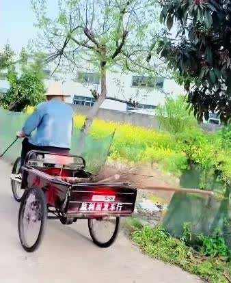 正值清明时节，孙海洋夫妇回到湖北监利的老家祭祖，夫妻二人共患难，同担当，一起走过