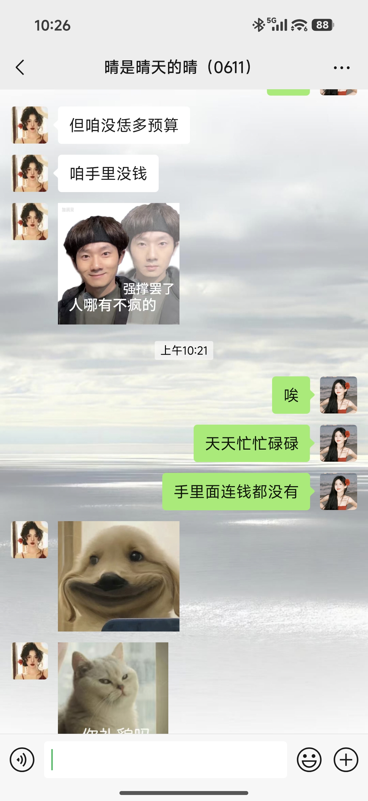 在强撑罢了