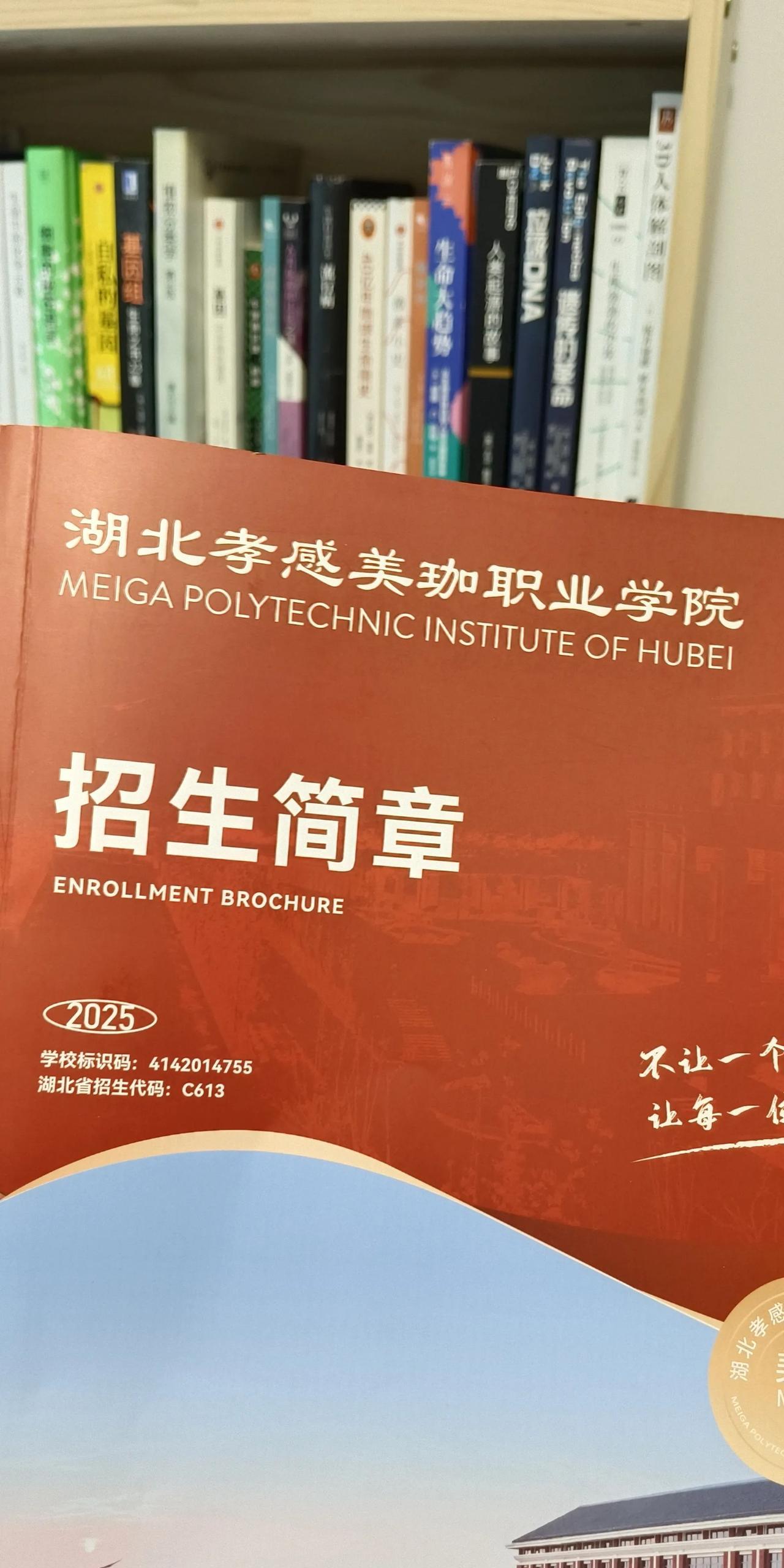 高考不到300分是非常尴尬的，320分以上可以读个公办的高职高专院校，200多分
