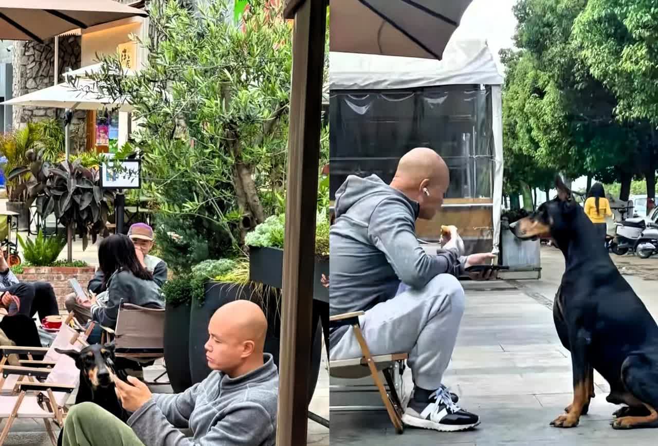 很久没有看见他露面了
听说现在定居在云南
当年那么火后来是为啥销声匿迹了呢？