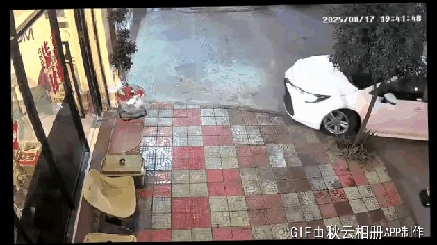 纸糊的汽车，铁打的树，游戏照进现实[捂脸]