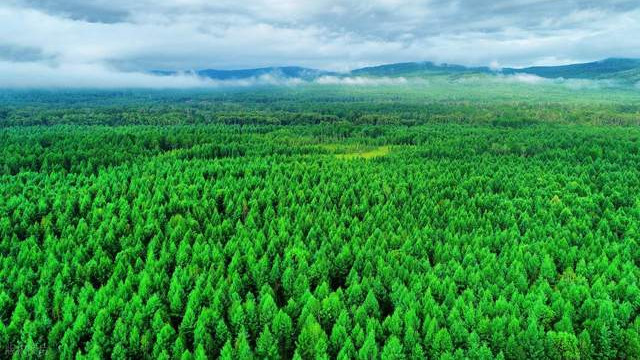 FSC认证100%recycled珍珠棉袋可回收可降解可堆肥防水防尘自封袋