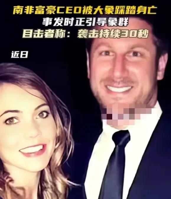 谁都有情绪不好的时候，包括野生大象。
一个39岁的南非千万富翁，最喜欢野生大象了
