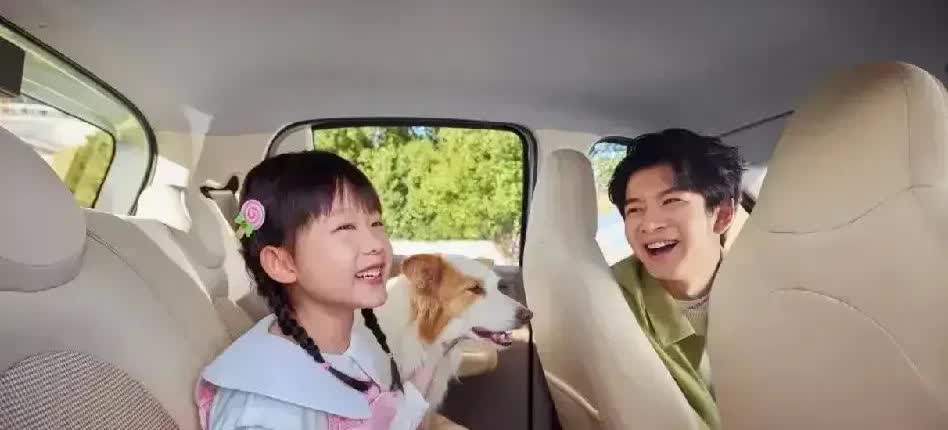 专家预测：未来10年新能源车企存活率：

1、第一名：比亚迪，100％存活
