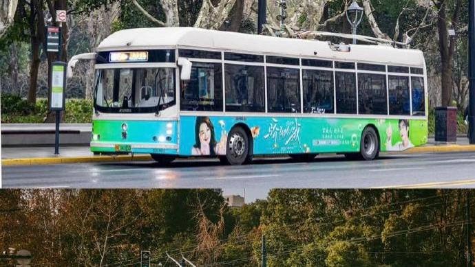 全上海都在偶遇骄阳似我