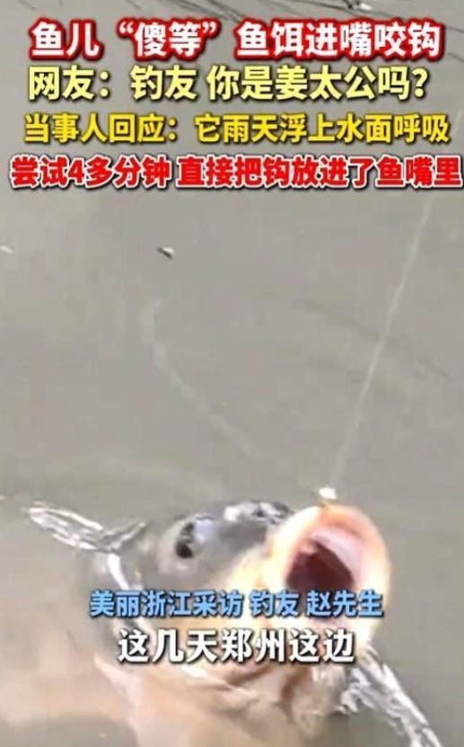 揭秘郑州钓鱼奇观：空钩上鱼背后的真相
你见过不用鱼饵就能钓上大鱼的奇观吗？郑州这