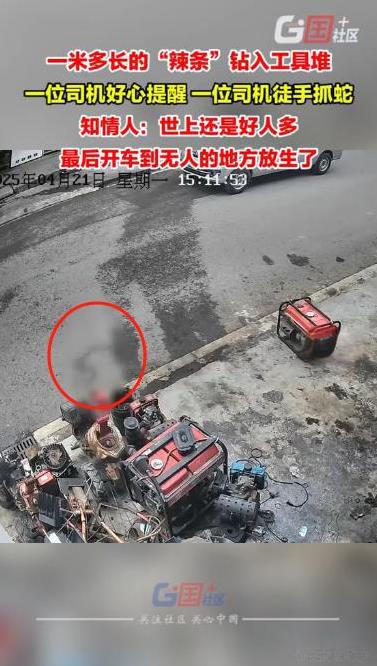 “惊呆了！”云南昭通，一大哥开车路过汽修店时，发现一条一米多长的蛇悄咪咪钻进工具