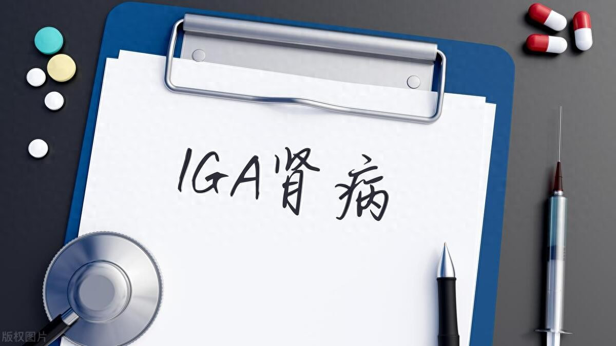 lgA肾病肾穿刺报告看不懂？教你3分钟搞清“到底严重不严重”