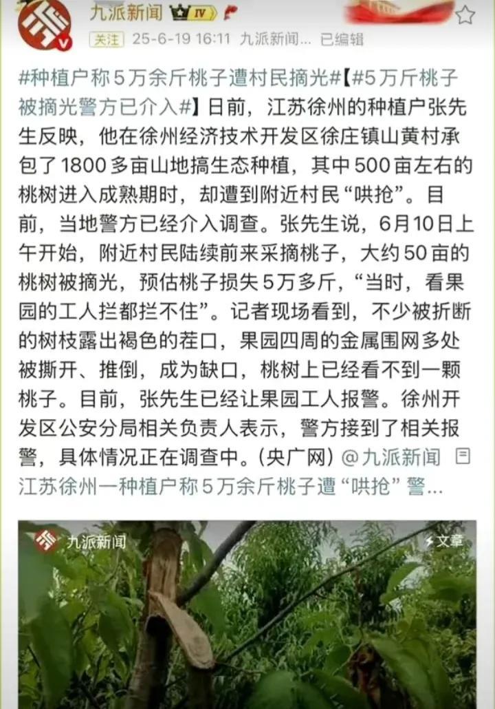 应以涉嫌抢劫罪刑事立案，对此类案件应严厉打击，决不能搞法不治众，让其逍遥法外。