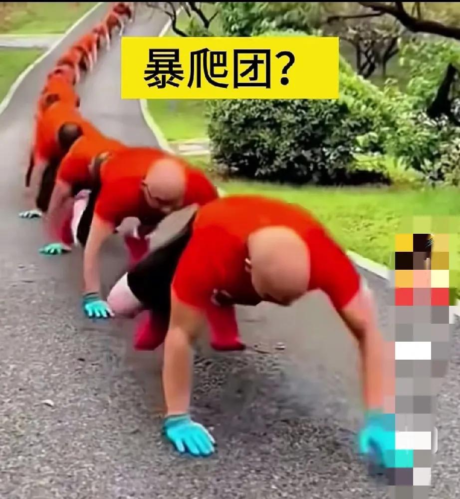 这种锻炼方式，也许很有科学道理！
开始我看到这个视频，觉得不可思议。不知道为什么