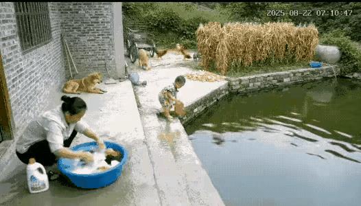 奶奶带孙子逛街的时候，一直饿的皮包骨头的流浪狗来到跟前，孙子抱着狗狗就不撒手 ，