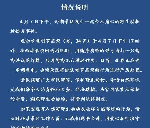 西湖景区又发生伤害小动物事件!
两个月前的4月初，一名罗姓男子在西湖长桥区域使