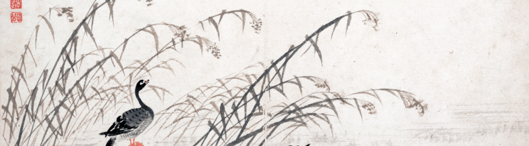 孟加拉国成全球污染最严重的国家