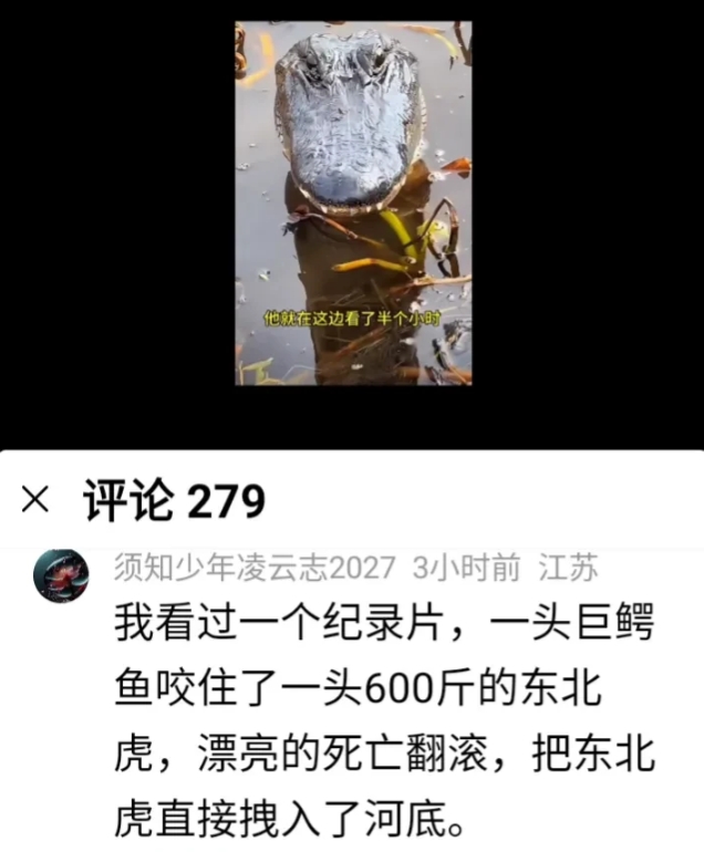 你猜猜北极熊为什么不吃企鹅