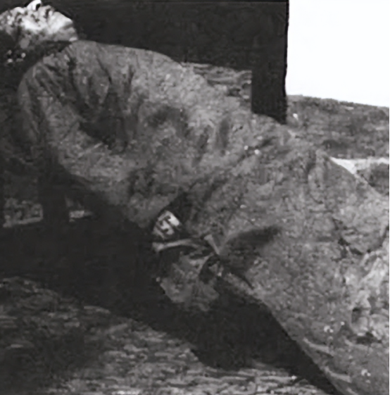 1946年，汉奸陈公博，被枪毙的现场，临刑前他对身边的狱警说道：”我有钢笔一支，