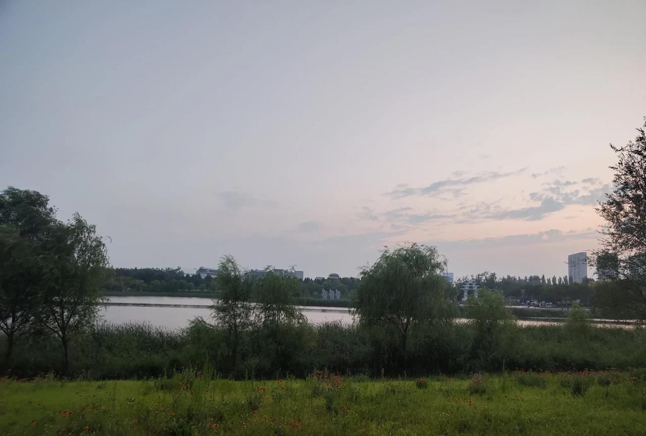 暑假期间，老师也没闲着，各种线上线下培训又开始了。
按道理来说，老师不上课放假了