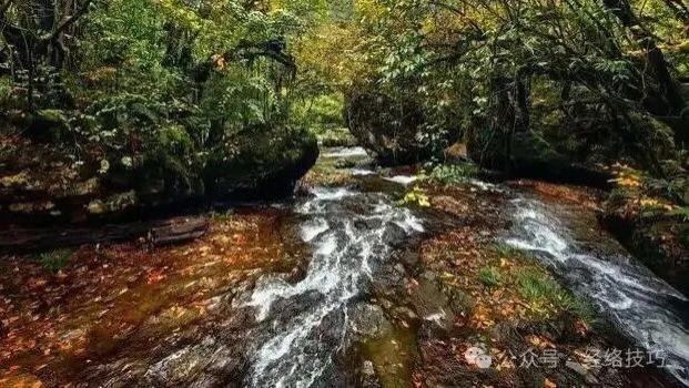 上身暖和下身凉？多拍拍这条“老寒沟”，让气血自然流动起来！