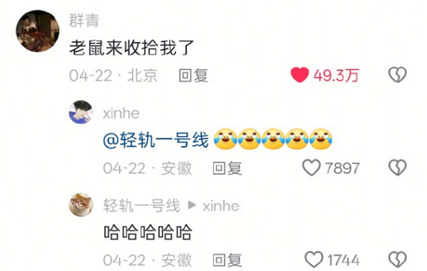 第一次见被老鼠吓到躲起来的小猪咪