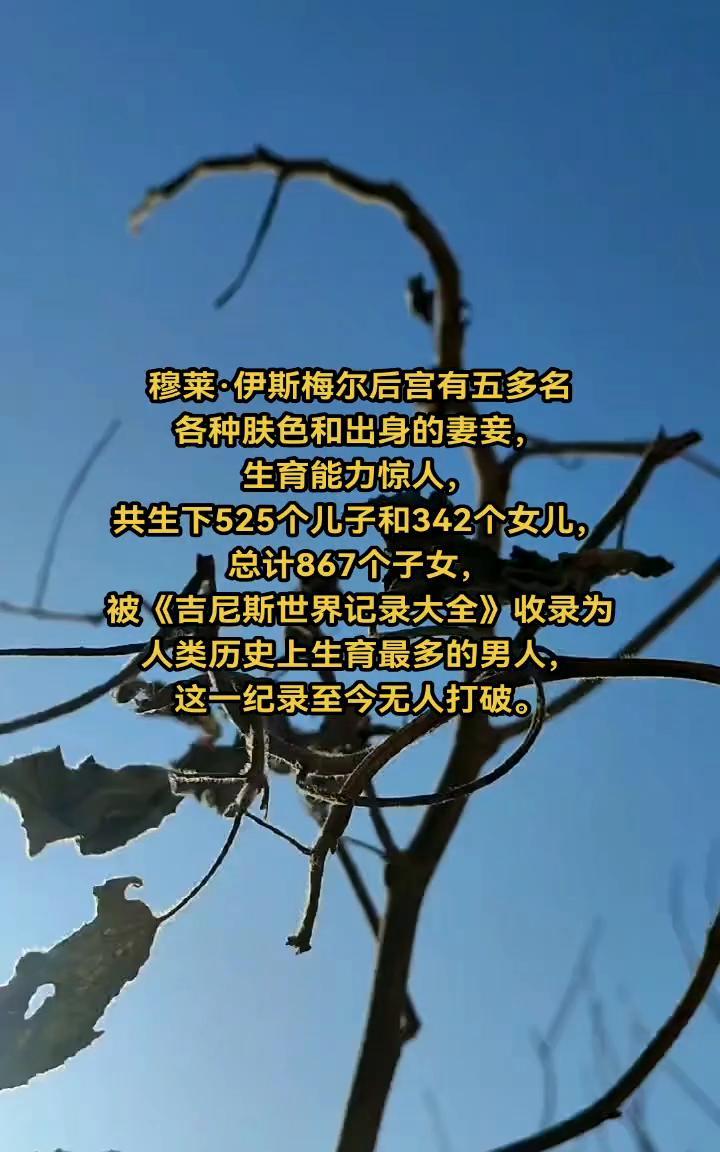 穆莱·伊斯梅尔后宫有五多名，各种肤色和出身的妻妾，生育能力惊人，共生下525个儿