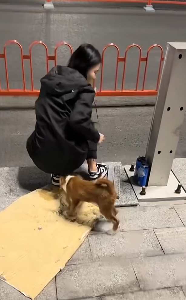 有谁知道这个小狗是怎么了？
