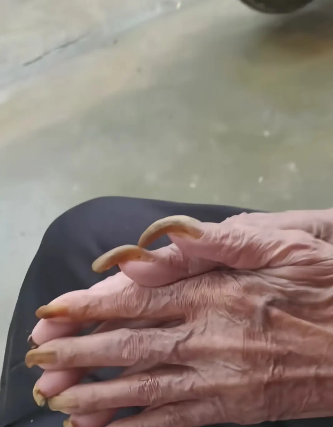 这位爷爷的指甲真的太长了。

