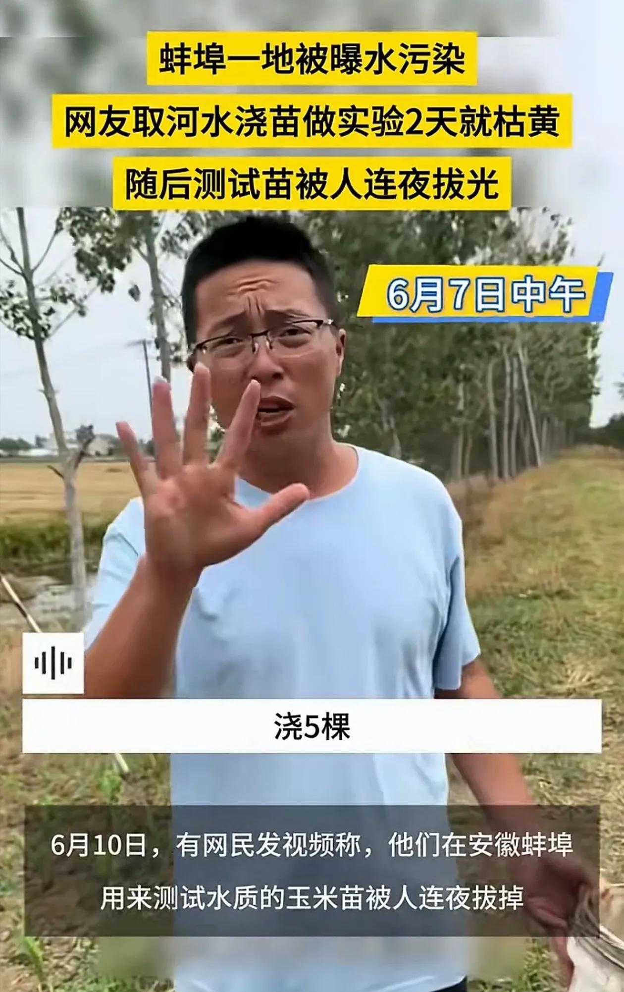 蚌埠环保局出名了！解决不了污染，就解决被污染的玉米苗！
       近日网友在