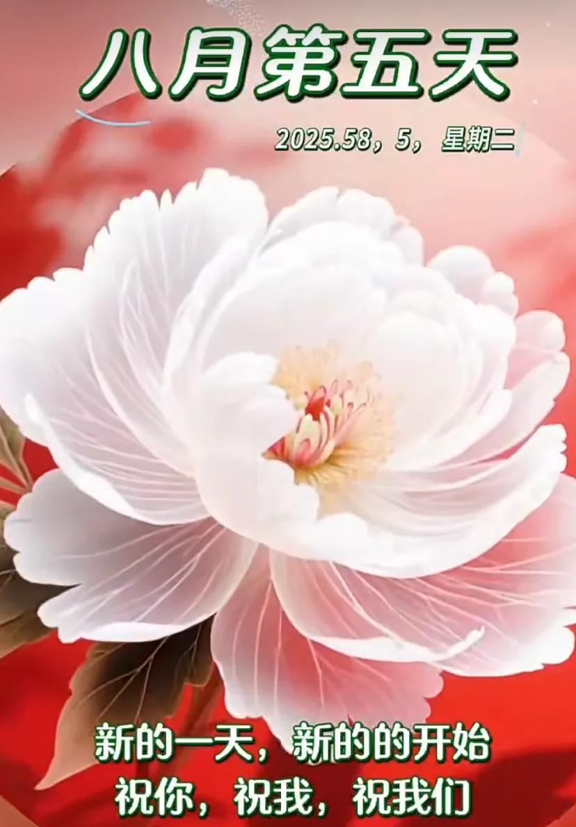 清晨好，美好如期而至，愿你享受每一天的美好时光。
