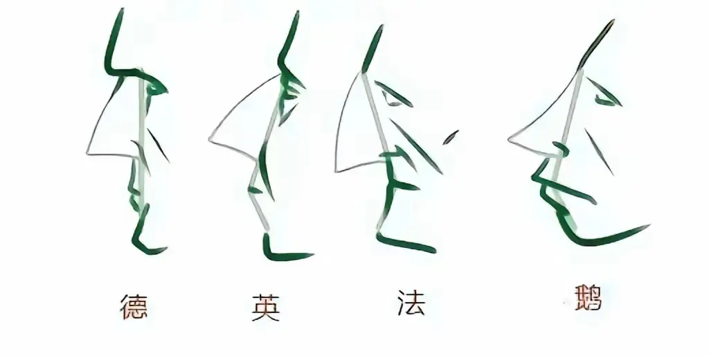 如何分辨欧洲人
这个图画的有意思