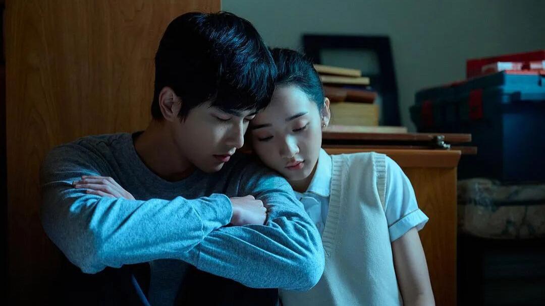 飞蛾扑光，蝶翼沾霜——《如果我不曾见过太阳》的创伤迷宫