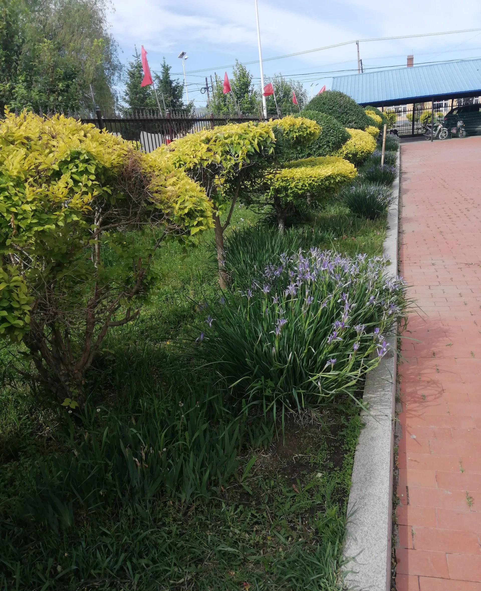 乡村学校女教师自杀，年仅二十出头，令人惋惜。



这突发的悲剧，如同一道闪电，