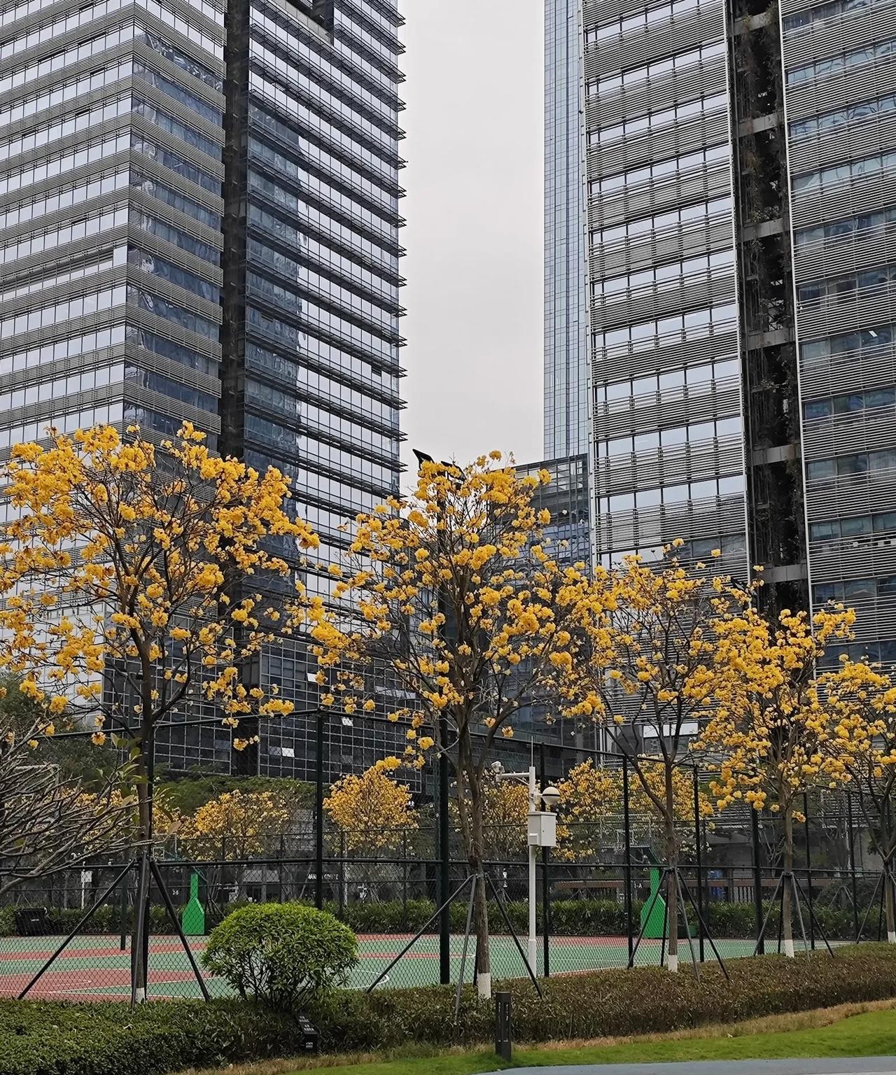 尼日尔驱逐中国石油公司人员





尼日尔这波操作，真是让人看不懂！



前