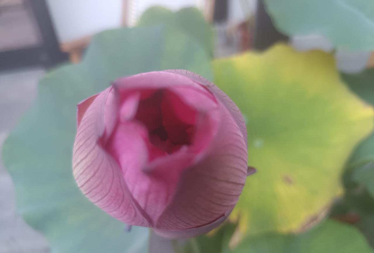 天哪！小米手机竟战胜了苹果。
据小米手机董事长雷军发布的信息:27号10点开售。