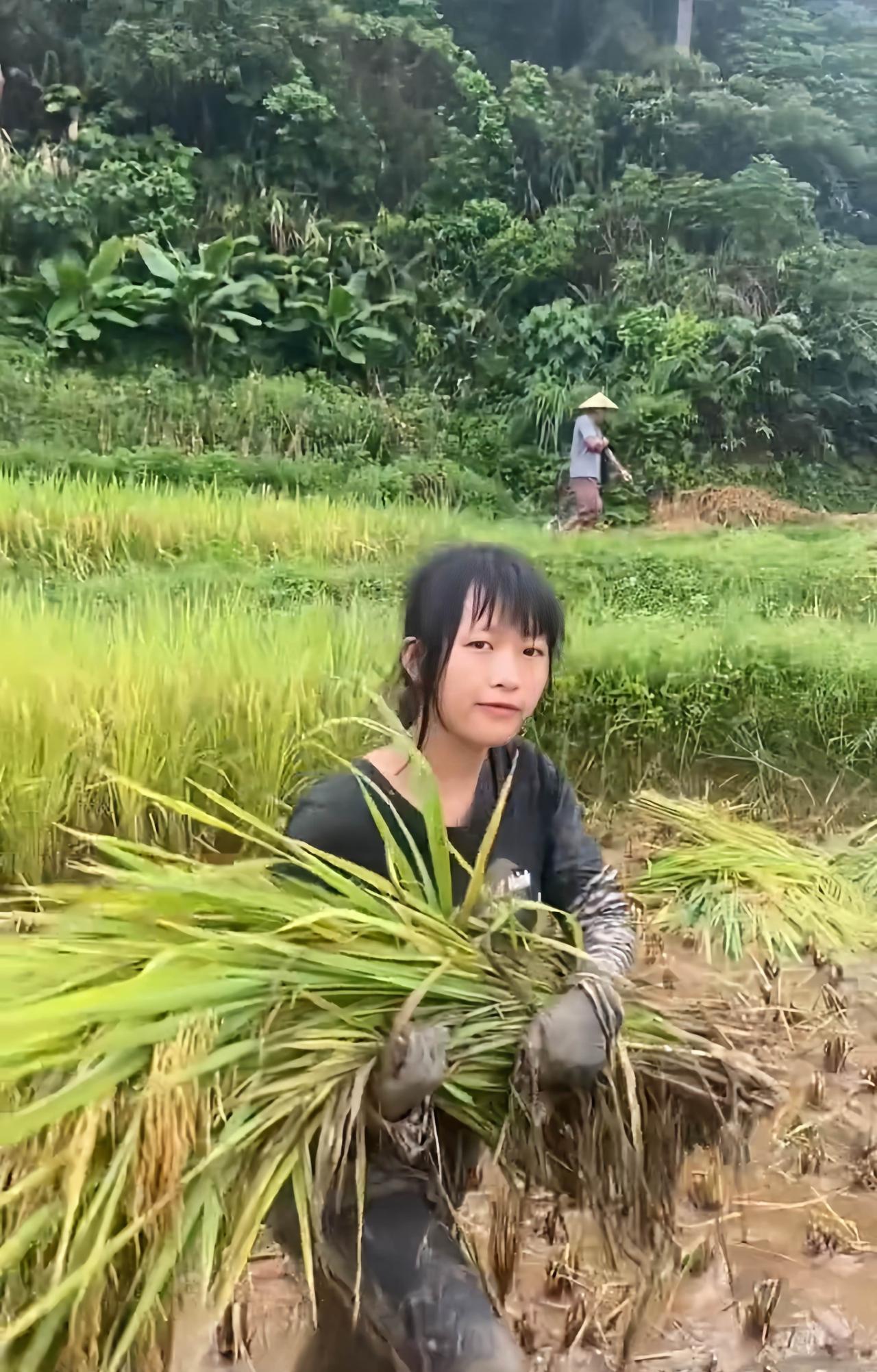 七律·粒粒皆辛苦
暑日田头汗雨倾，青秧满抱步难轻。
泥沾裤脚千层重，汗渍衣衫数缕