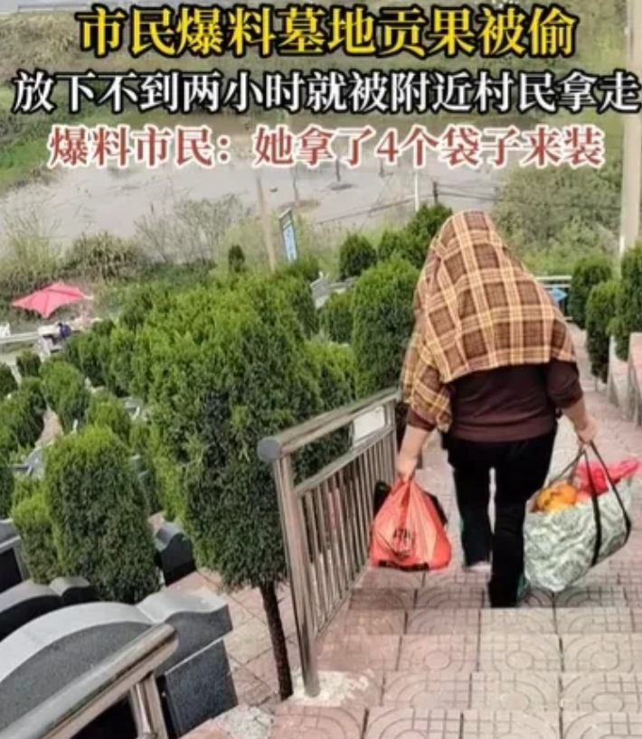 湖南，住在陵园附近的大妈，看到有人拎着水果来祭拜祖先，放下水果就走了，大妈看着那