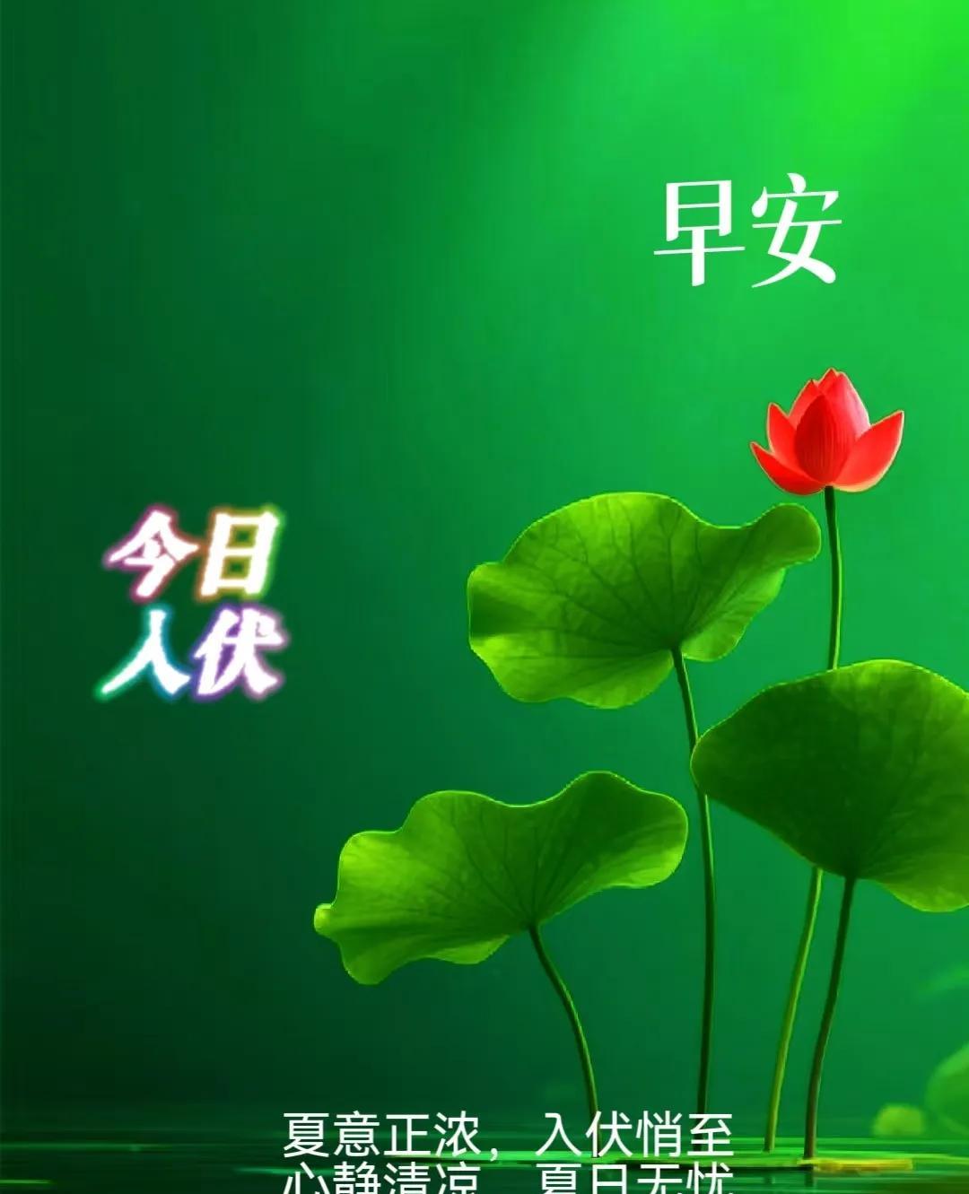 早上好，今天是7月20日星期日，今日入伏第一天。
昨晚20点，中波热身赛如期进行