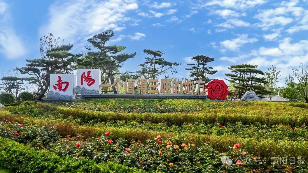 全部免费！南阳这些宝藏月季花打卡点建议收藏