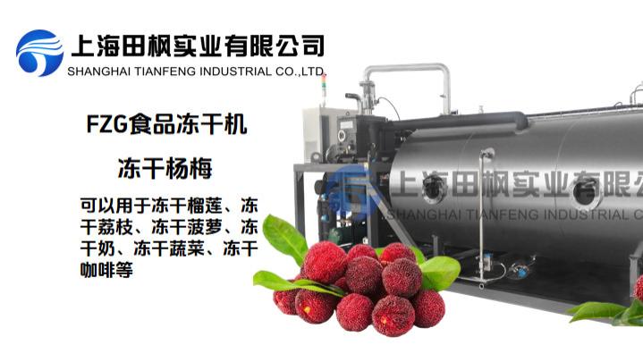 夏季冰鲜，杨梅冻干新保存方式